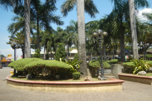 Stadtplatz mit einem zentralen Brunnen, umgeben von Palmen, Pflanzen, Laternenmasten, Fahrzeugen, Gebäuden und einem bewölkten Himmel.