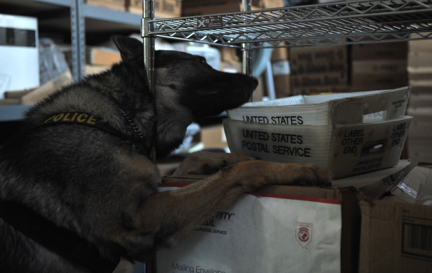 Ein schwarzer und brauner Polizei-Hund ruht auf einem Stapel Kartonboxen in einem Lagerhaus, mit weiteren Boxen auf umliegenden Regalen sichtbar.