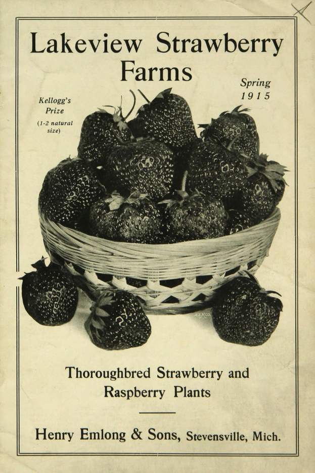 Plakat von Lakeview Erdbeerfarmen, Frühling 1915, das eine Schale reifer roter Erdbeeren und den Text "Zuchtstamm Erdbeeren und Himbeeren" oben zeigt.