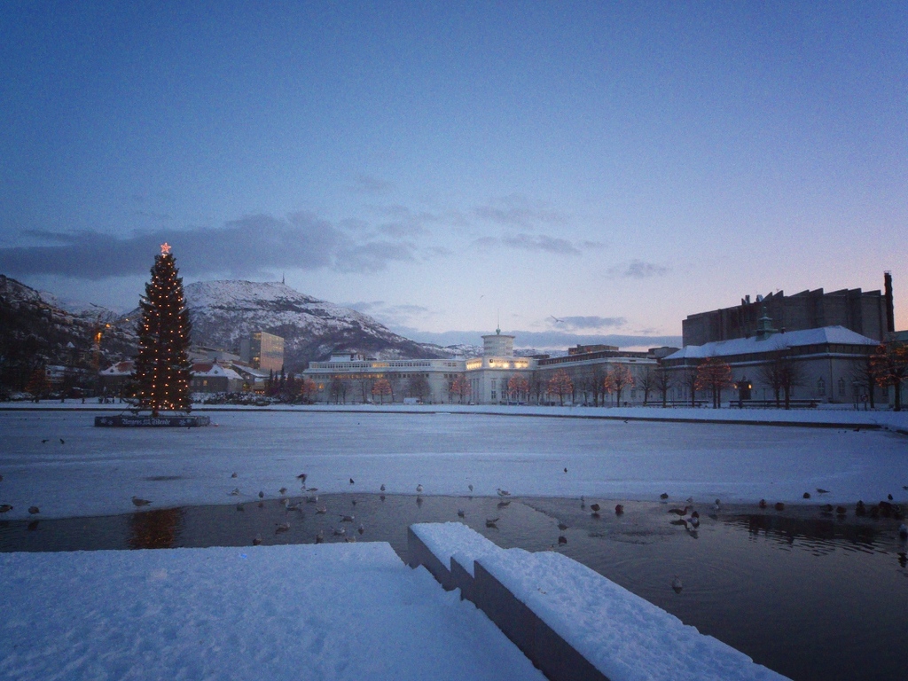 Eine Stadtansicht mit Gebäuden, Häusern, Bäumen, Pflanzen, einem Weihnachtsbaum mit Lichtern auf der linken Seite, Bergen und Schnee im Hintergrund, einem bewölkten Himmel darüber und Vögeln auf einem Gewässer darunter.
