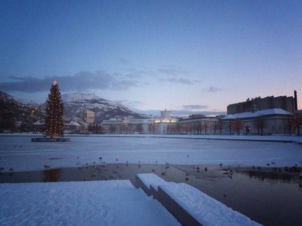 Eine Stadtansicht mit Gebäuden, Häusern, Bäumen, Pflanzen, einem Weihnachtsbaum mit Lichtern auf der linken Seite, Bergen und Schnee im Hintergrund, einem bewölkten Himmel darüber und Vögeln auf einem Gewässer darunter.