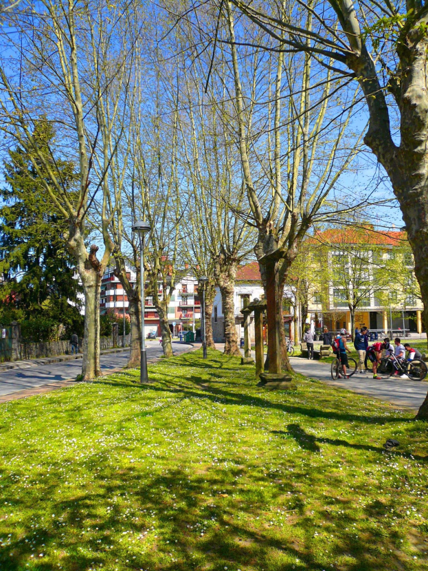 Ein Park mit grünem Gras, Bäumen, Menschen zu Fuß und Rad fahren auf einer Straße und Gebäuden im Hintergrund unter einem klaren blauen Himmel.