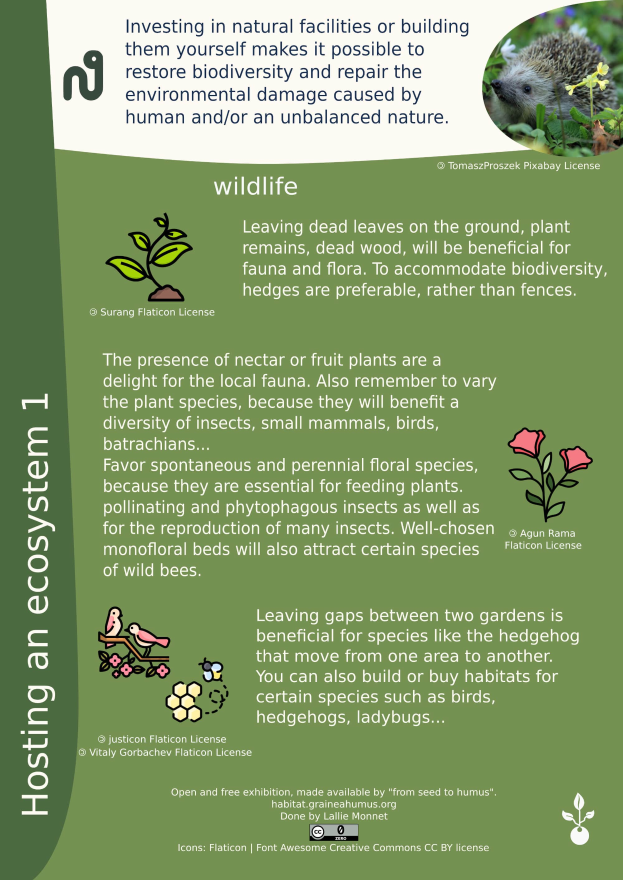 Ein Plakat mit einem hellbraunen Igel mit weißer Schnauze und schwarzer Nase, umgeben von üppigen grünen Pflanzen und leuchtenden Blumen, mit der Aufschrift "Wirtschafter eines Ökosystems 1".