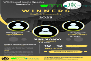 Bunt bedrucktes Plakat mit einem blauen Hintergrund und gelben und weißen Text, betitelt 'Wikisound Audio Spricht Kampagnengewinner', zeigt lachende Menschen in der Mitte, die die Kampagnengewinner feiern.