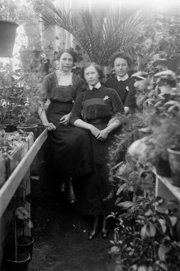 Drei Frauen sitzen auf einer Bank in einem Gewächshaus umgeben von Zimmerpflanzen, aufgenommen in Schwarz-Weiß.