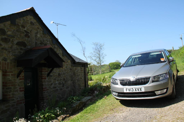Rechts ist ein Auto neben Pflanzen, einem Strommast, Gras und Erde geparkt; links sind Pflanzen, Blumen, Bäume, ein Zaun, ein Haus und ein Mast unter einem sonnigen Himmel zu sehen.