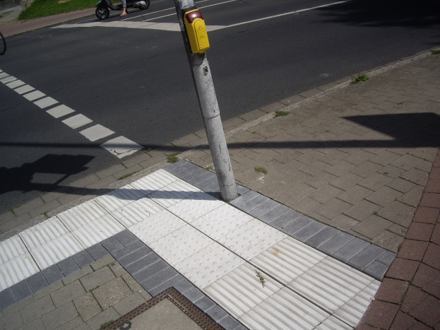 Eine Person fährt mit einem Roller auf dem Bürgersteig an einem Laternenpfahl vorbei, überholt ein Fahrrad auf dem Gehweg und fährt an Gebäuden, Bäumen und Gras vorbei.