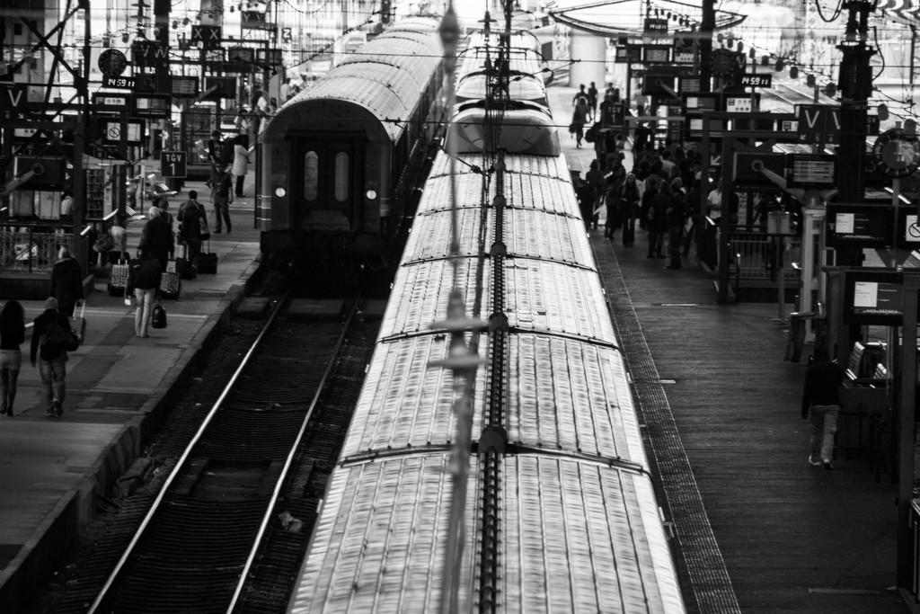 Ein belebter Bahnsteig mit mehreren Zügen auf den Gleisen und vielen Menschen auf dem Bahnsteig.