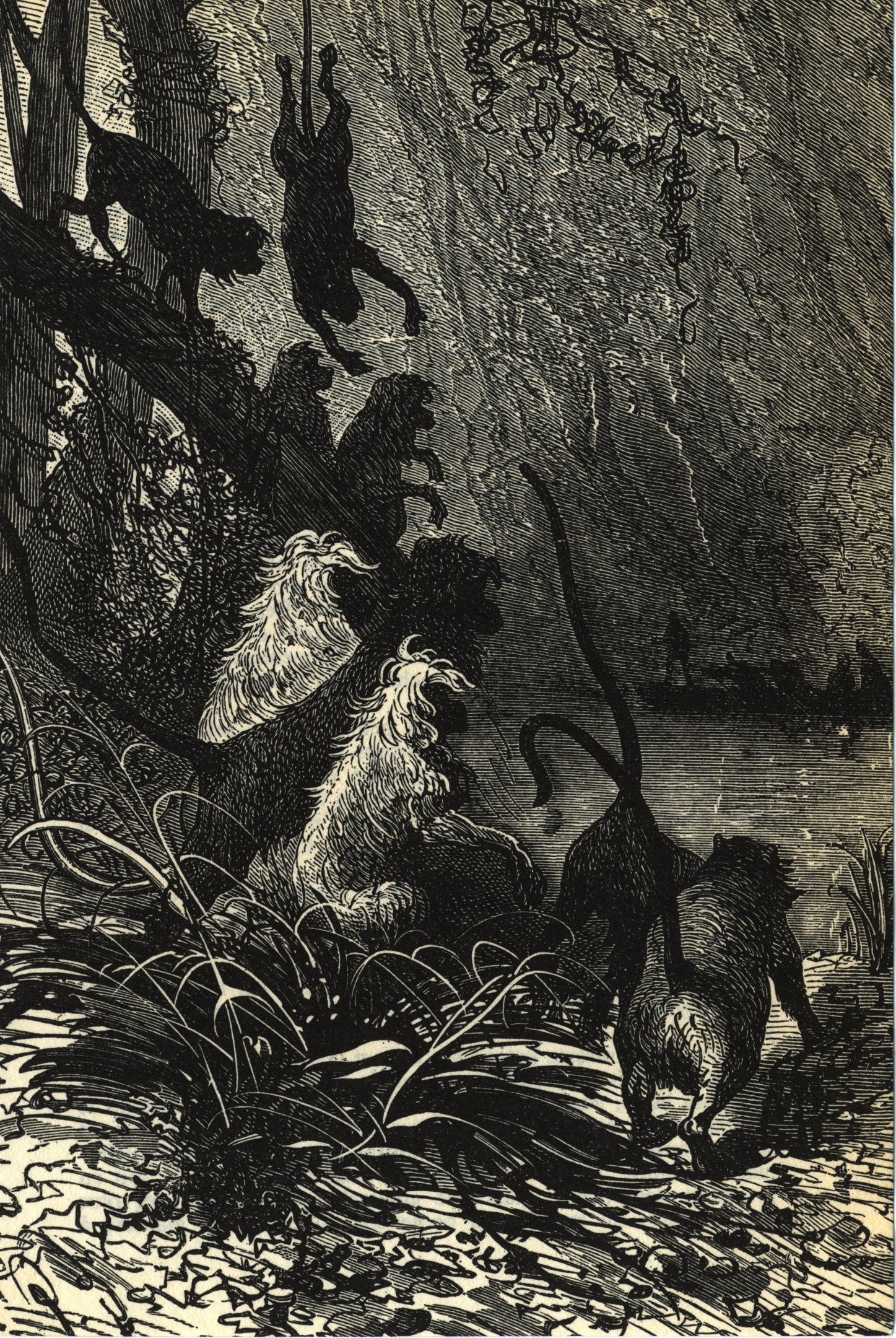 Schwarze und weiße Illustration einer Gruppe von Löwen in einer Dschungellandschaft mit üppigen Pflanzen und Bäumen, die den Text 'Der König der Löwen' unten zeigt.