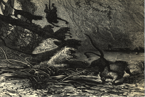 Schwarze und weiße Illustration einer Gruppe von Löwen in einer Dschungellandschaft mit üppigen Pflanzen und Bäumen, die den Text 'Der König der Löwen' unten zeigt.