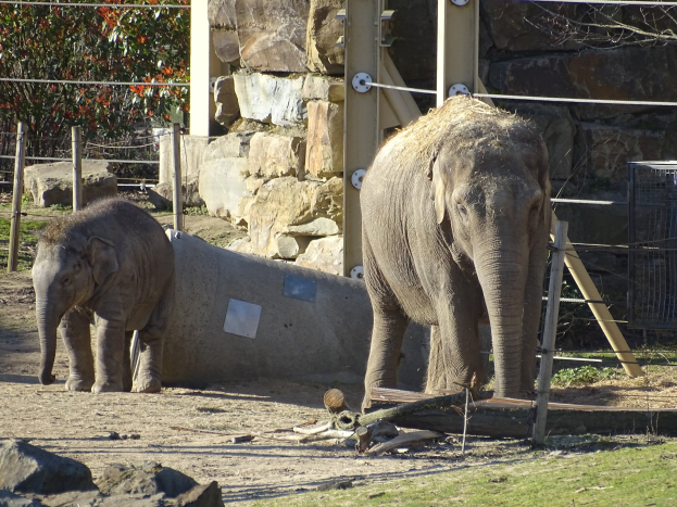 Zoo-Verein Wuppertal: Neue Wahlen und Genehmigung von zwei neuen Bauprojekten