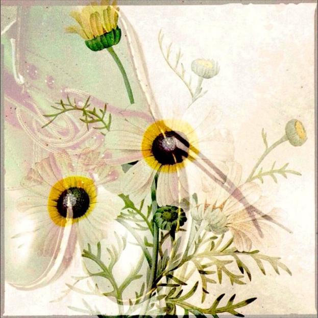 Ein blaues, schwarzes und rotes Kleid und ein Paar schwarze Schuhe auf dem Gras.