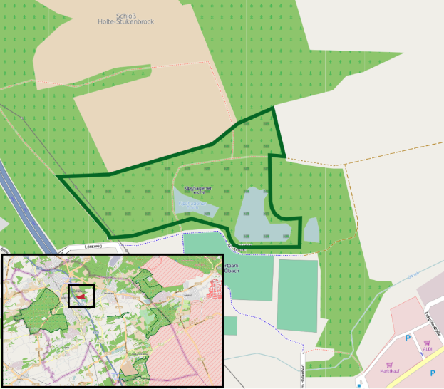 Eine Stadtkarte mit einem grünen Bereich in der Mitte, der einen geplanten Standort angibt, zeigt die Grenzen von Gebäuden, Straßen und anderen städtischen Merkmalen.