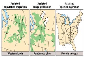 Ein Plakat mit einer USA-Karte, auf der Regionen hervorgehoben sind, um verschiedene Arten der Bevölkerungsmigration zu veranschaulichen, begleitet von erklärendem Text.