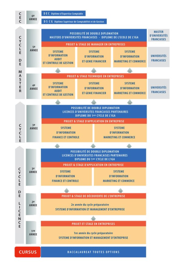 Diagramm, das die organisatorische Struktur eines Unternehmens mit interconnected boxes darstellt, die verschiedene Stufen des Unternehmenswachstums und der Entwicklung darstellen, begleitet von beschreibendem Text.