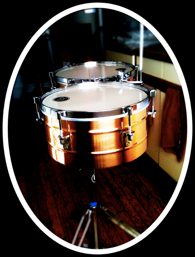 Eine Vielfalt an Musikinstrumenten ist auf einem h├Âlzernen Boden angeordnet.