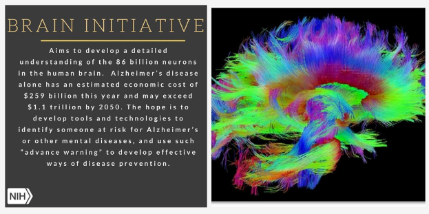 Ein Plakat mit einer farbenfrohen, detaillierten Illustration eines Gehirns auf der rechten Seite und Text auf der linken Seite, der das Ziel der Brain-Initiative beschreibt, ein detailliertes Verständnis der 86 Milliarden Neuronen im menschlichen Gehirn zu entwickeln.