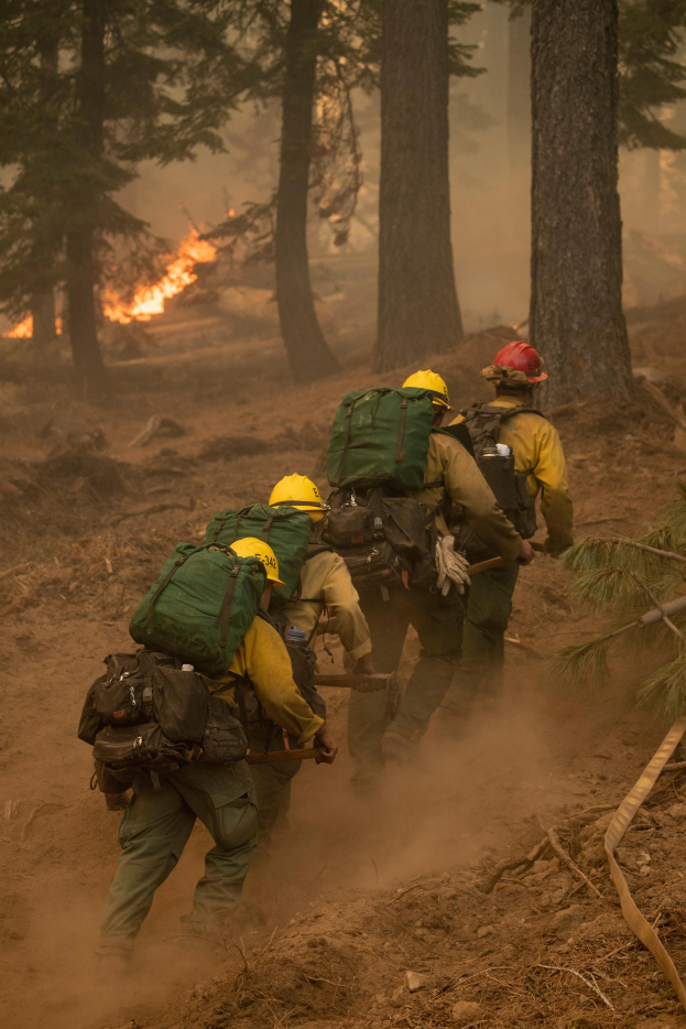 Eine Gruppe von Feuerwehrmönnen in Helmen und Rücksöcken geht durch einen Wald, mit einem Feuer in der Ferne.