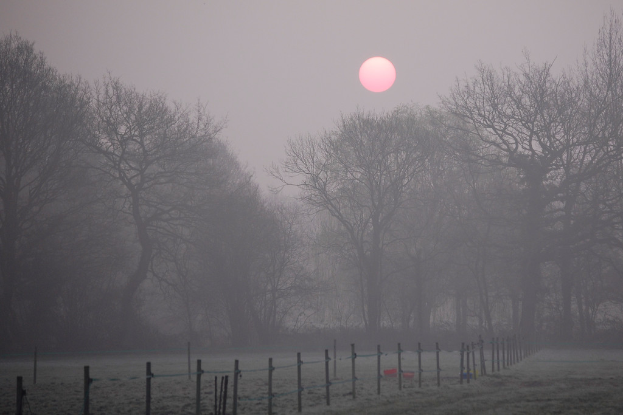 Boden mit mehreren Polen und Bäumen, mit der Sonne im Hintergrund.