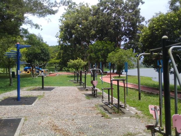Ein Park mit Fitnessgeräten, einschließlich einer Rutsche, umgeben von grünem Gras, Bäumen, einem Gewässer und einem klaren blauen Himmel.