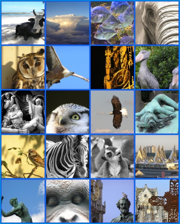 Ein Collage mit verschiedenen Tieren wie Kühen, einem Zebra und einer Eule sowie mehreren Skulpturen.