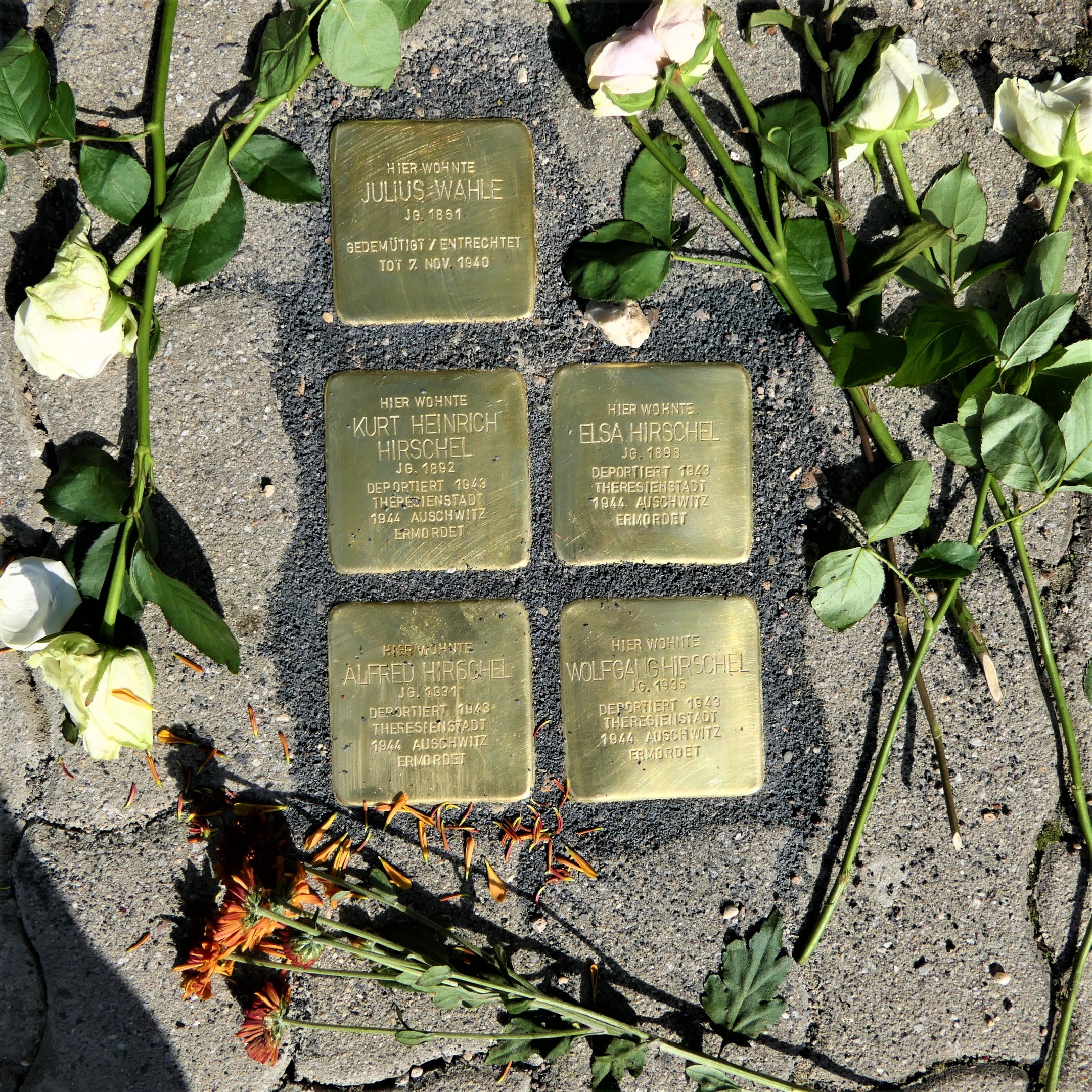 Volkstrauertag: Gedächtnis der Opfer der Weltkriege
