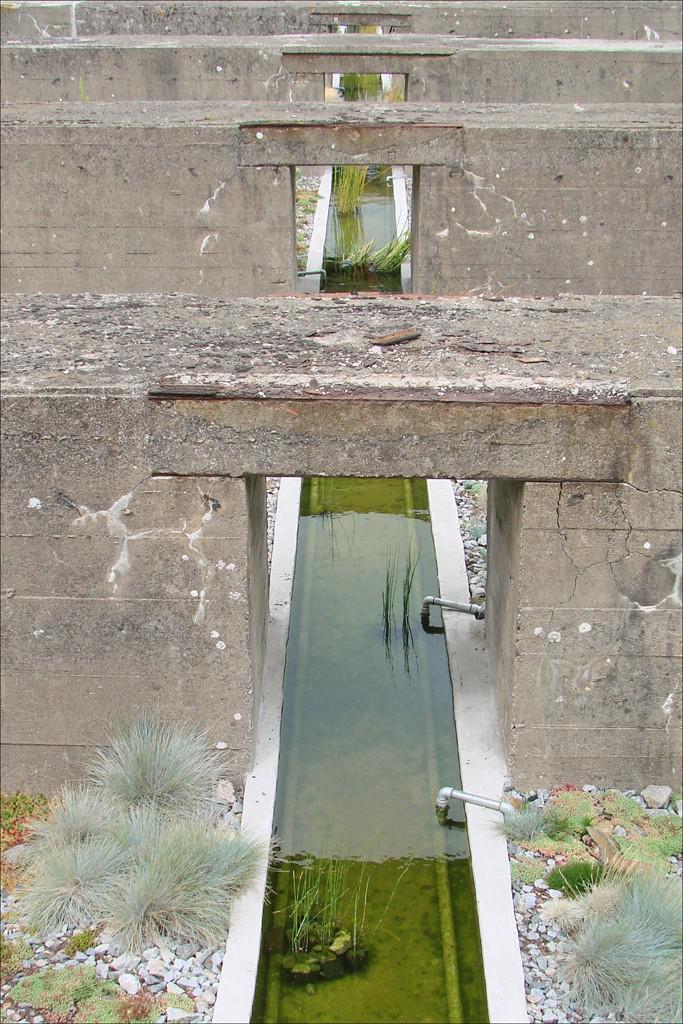 Ein kleiner Wassererntetümpel mit braunen Backsteinbrücken darüber und weißen Kieseln mit etwas Gras im Vordergrund.