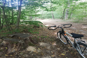 POL-VIE: Brüggen: Radfahrer schwer verletzt bei Einzelfahrzeugunfall