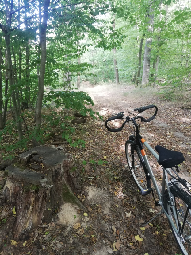 POL-VIE: Brüggen: Radfahrer schwer verletzt bei Einzelfahrzeugunfall