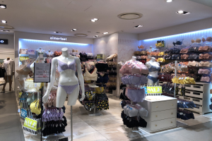 Ein gut beleuchteter Lingerie-Store mit Schaufensterpuppen in Kleidern, aufgehängten Kleidungsstücken, Informationsschildern und Schränken.