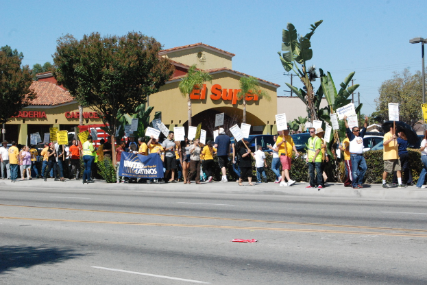 Eine Gruppe von Menschen mit Schildern, die durch einen Wald mit Bäumen, Büschen, einem Banner, einem Gebäude mit Namensschildern, Autos und aktuellen Umfragen im Hintergrund gehen.