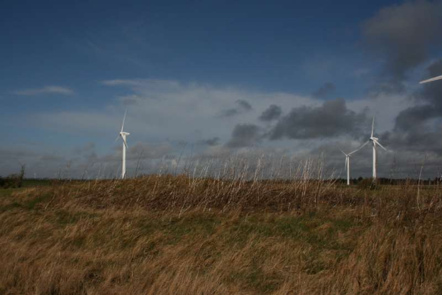 Ein Feld von Windkraftanlagen in einer grasbewachsenen Fläche mit Bäumen im Hintergrund und Wolken am Himmel, wahrscheinlich ein Windpark in den Niederlanden.