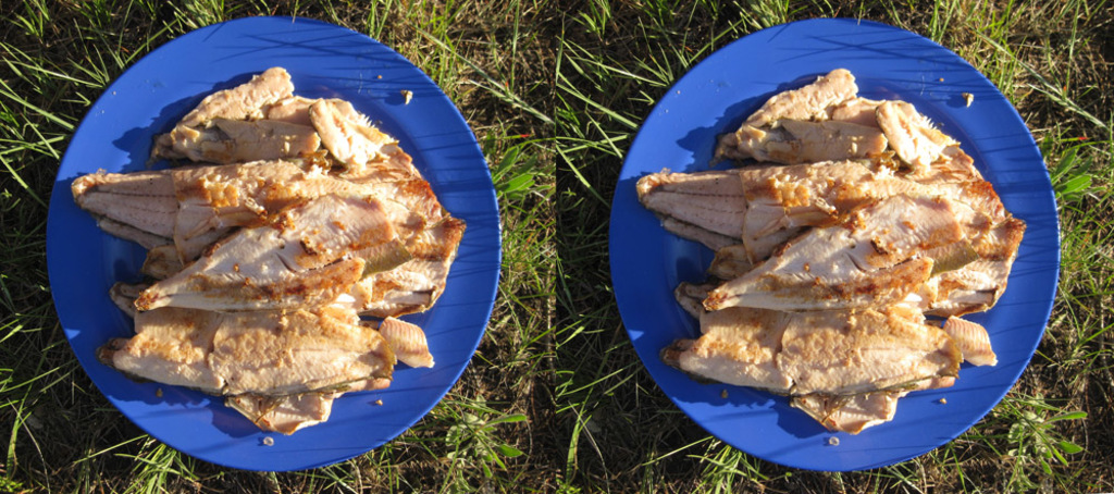 Eine Collage aus verschiedenen Fleischsorten, die auf einem Teller angerichtet sind.