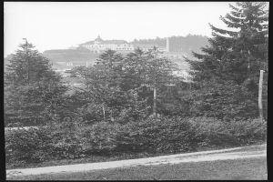 Ein Schwarz-Weiß-Foto einer Stadt mit hohen, grünen Bäumen im Vordergrund, die Schatten über die Gebäude im Hintergrund werfen.