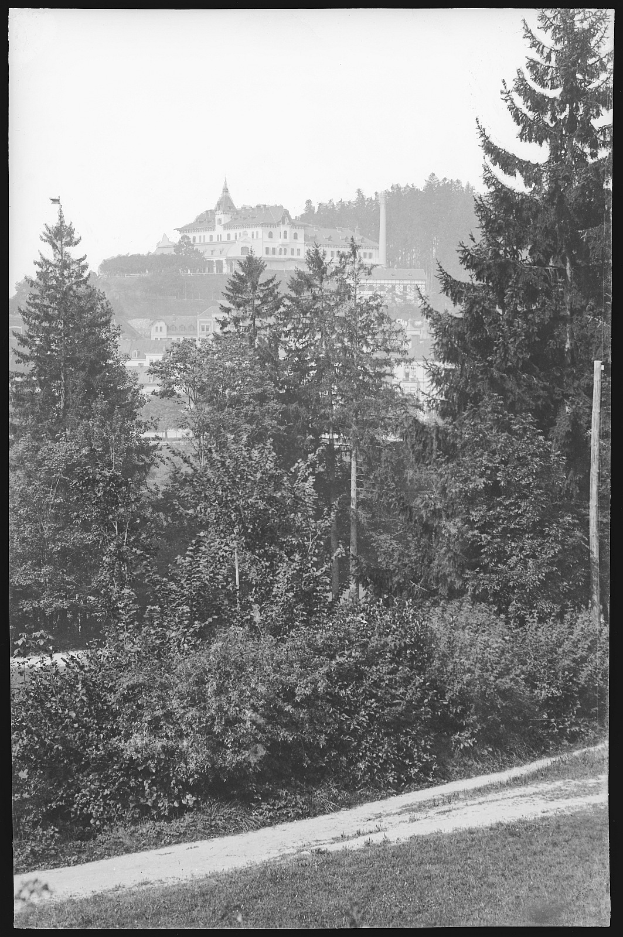 Ein Schwarz-Weiß-Foto einer Stadt mit hohen, grünen Bäumen im Vordergrund, die Schatten über die Gebäude im Hintergrund werfen.