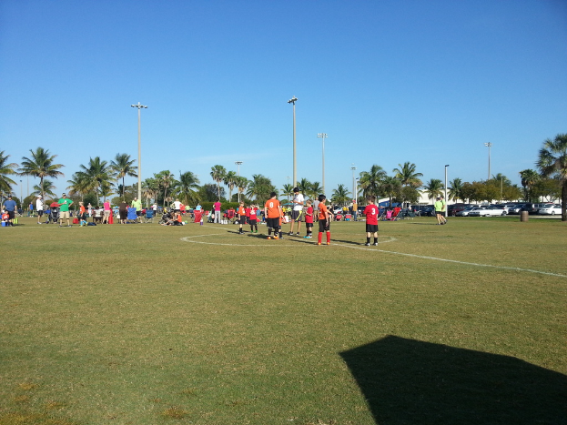 Eine Gruppe von Menschen versammelt sich auf einer grünen Spielfläche mit Bäumen, Masten und Autos im Hintergrund.