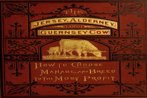 Cover eines Buches mit dem Titel "Die Jersey-, Alderney- und Guernsey-Kuh: Wie man wählt, verwaltet und züchtet, um den größten Gewinn zu erzielen" mit einem Bild einer Kuh auf dem Cover.
