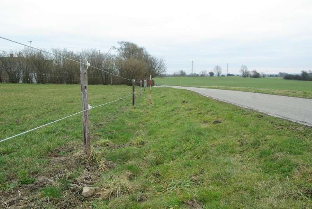 Grünes Feld mit einem zentralen Zaun, umgeben von Bäumen und Strommasten, eine Straße im Hintergrund und einen klaren blauen Himmel, gelegen in St Marys Road, St Mary's, St Margaret's, Swindon, Wiltshire.