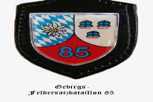 Ein Abzeichen mit der Nummer 85, das das bayerische Fußballteam repräsentiert, mit deutschem Text unten.