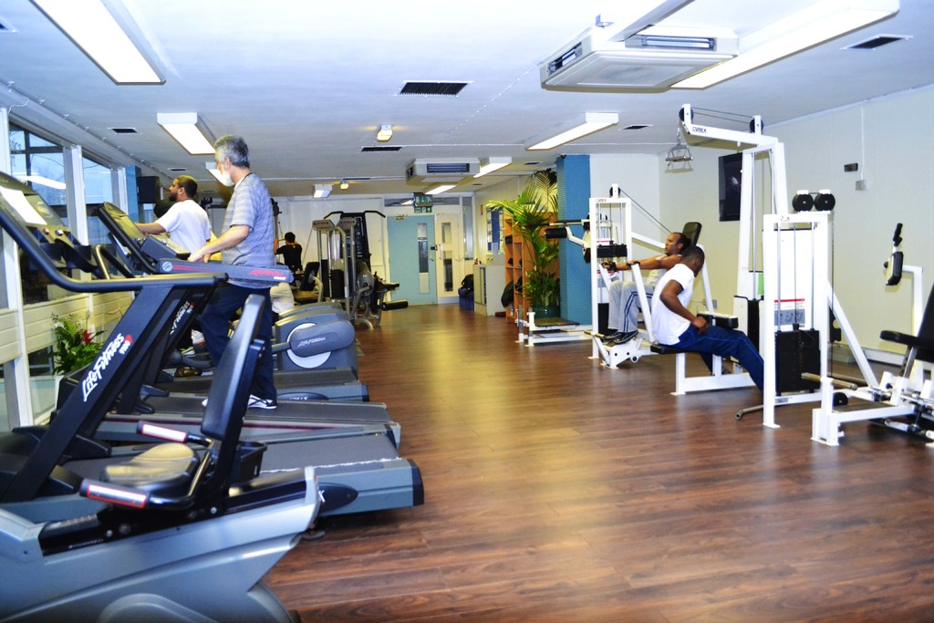 Ein Fitnessstudio mit verschiedenen Geräten und Menschen beim Training, mit einer Pflanze auf der rechten Seite.