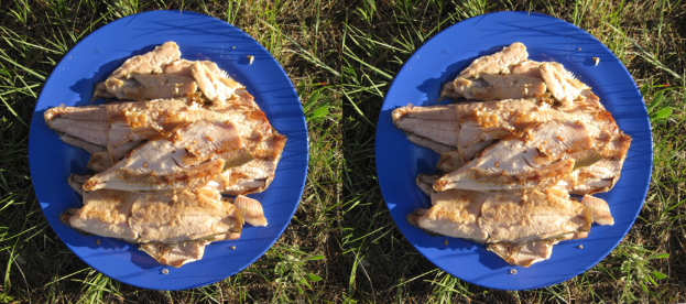 Ein Collage aus verschiedenen Fleischsorten auf Tellern arrangiert.