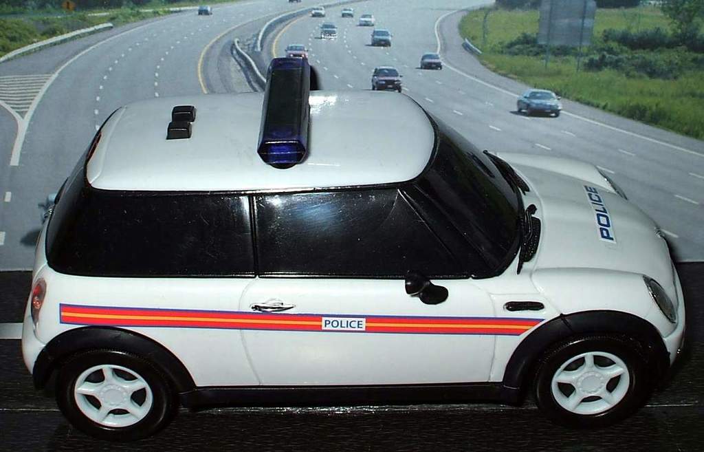 Ein weißes Polizeiauto steht vor einer befahrenen Straße mit fahrenden Fahrzeugen, umgeben von Gras und Bäumen, in einer ländlichen Umgebung.