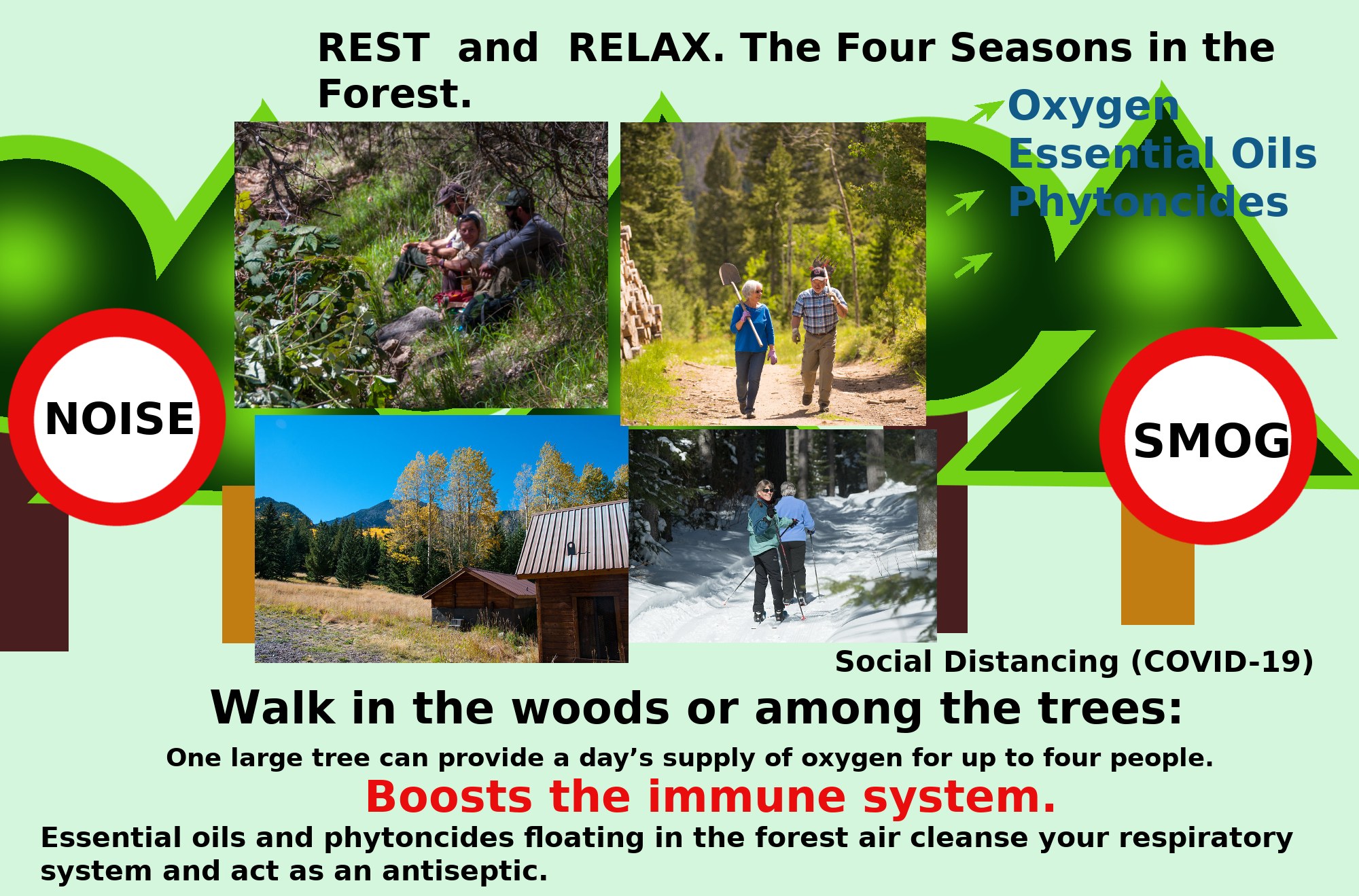 Plakat mit dem Titel "Ruhe und Entspannung die Vier Jahreszeiten im Wald" mit Bildern von Menschen, die durch einen bewaldeten Bereich mit Bäumen und einem Haus gehen, um Entspannung in der Natur zu fördern.